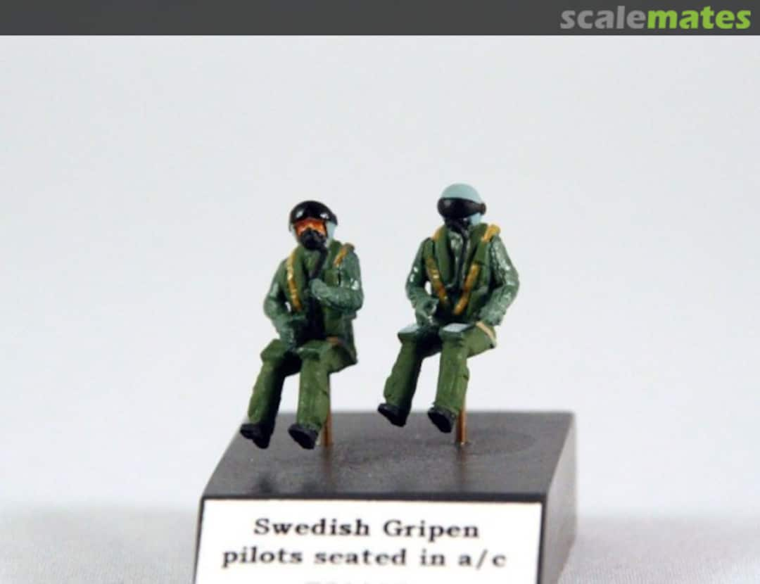 Boxart Swedish Gripen pilots seated in a/c 721128 PJ Production