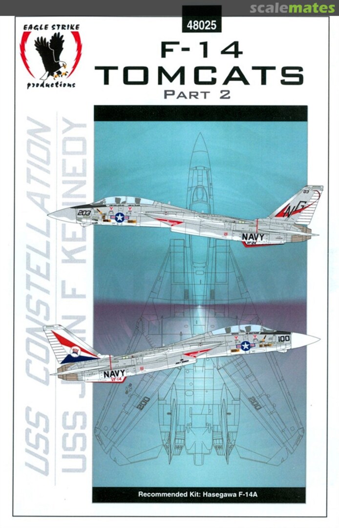 Boxart F-14 Tomcats 48025 Eagle Strike Productions