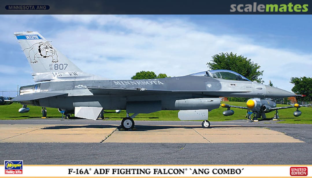 Boxart F-16A ADF Fighting Falcon `ANG Combo´ 01962 Hasegawa