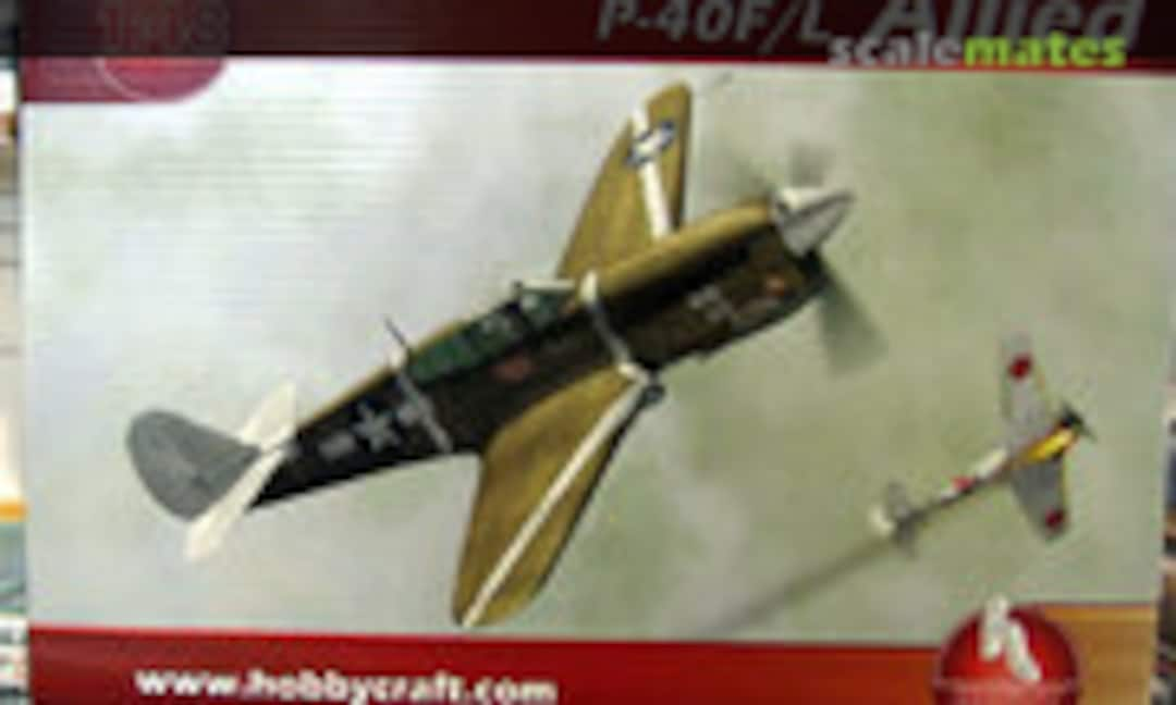 1:48 P-40F/L Allied (Hobbycraft HC1417)