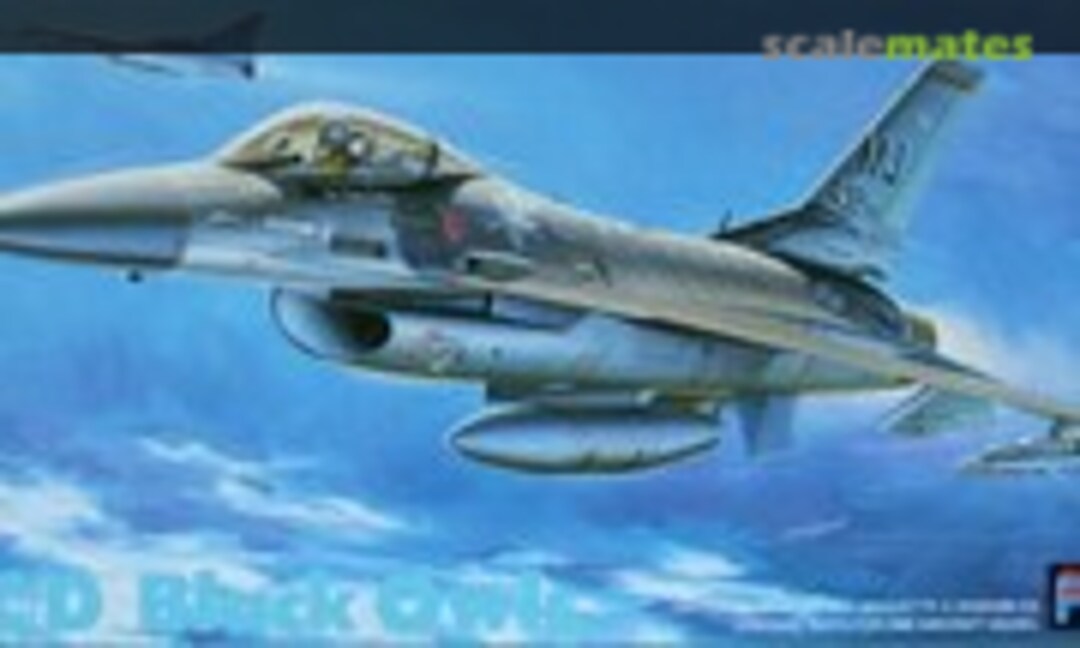 1:72 F-16C/D Black Owls (Fujimi 26020)