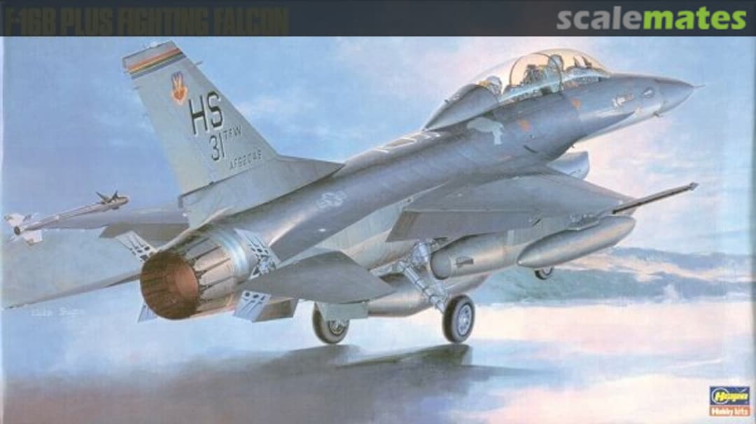 Boxart F-16B Plus Fighting Falcon 06105 Hasegawa