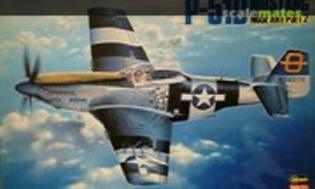 1:32 P-51D Mustang Nose Art Part 2 (Hasegawa 51539)