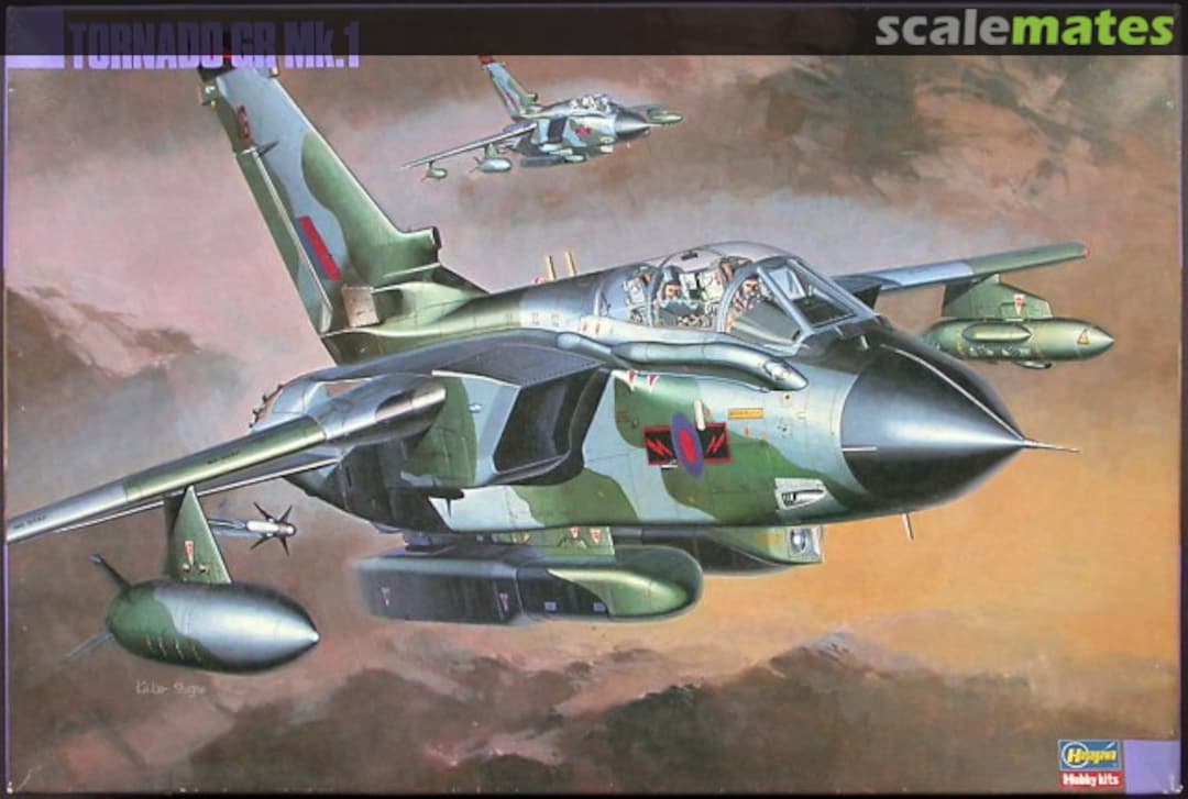 Boxart Tornado GR Mk.1 04028 Hasegawa