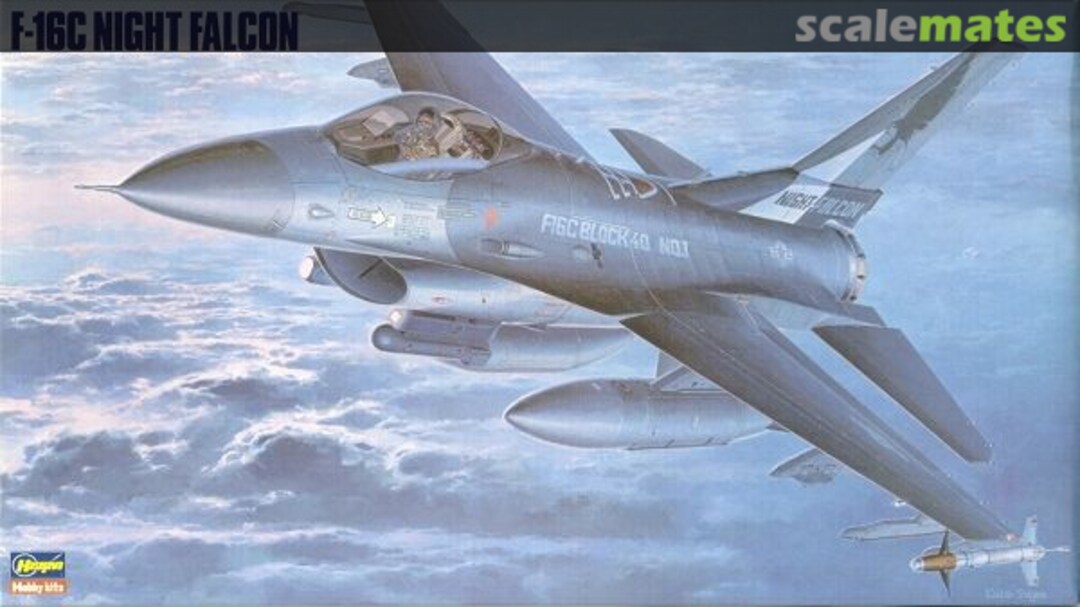 Boxart F-16C Night Falcon 06108 Hasegawa