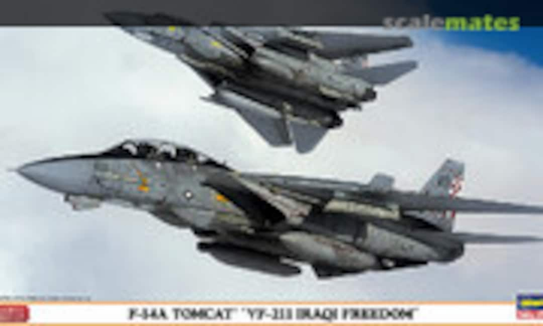 1:72 F-14A Tomcat `VF-211 Iraqi Freedom´ (Hasegawa 02040)