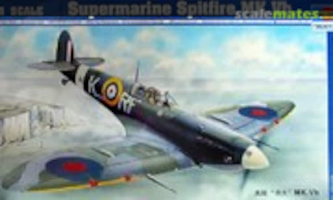 1:24 Supermarine Spitfire Mk.Vb (Trumpeter 02403)