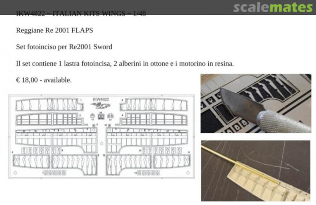 Boxart Reggiane Re 2001 Flaps   IKW4822 Italian Kits