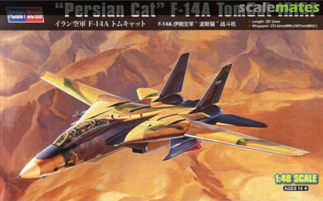 Boxart F-14A TomCat - IRIAF 81771 HobbyBoss