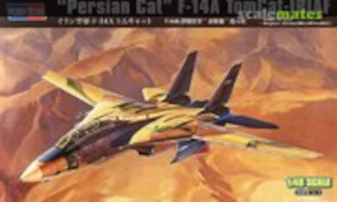 1:48 F-14A TomCat - IRIAF (HobbyBoss 81771)