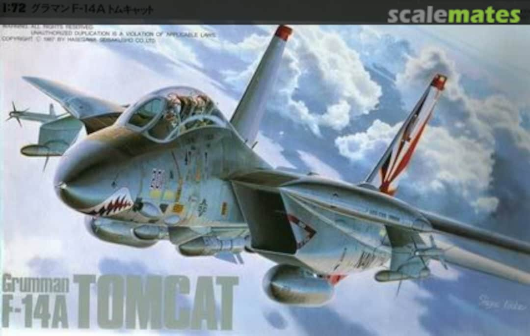 Boxart F-14A Tomcat 04512 Hasegawa