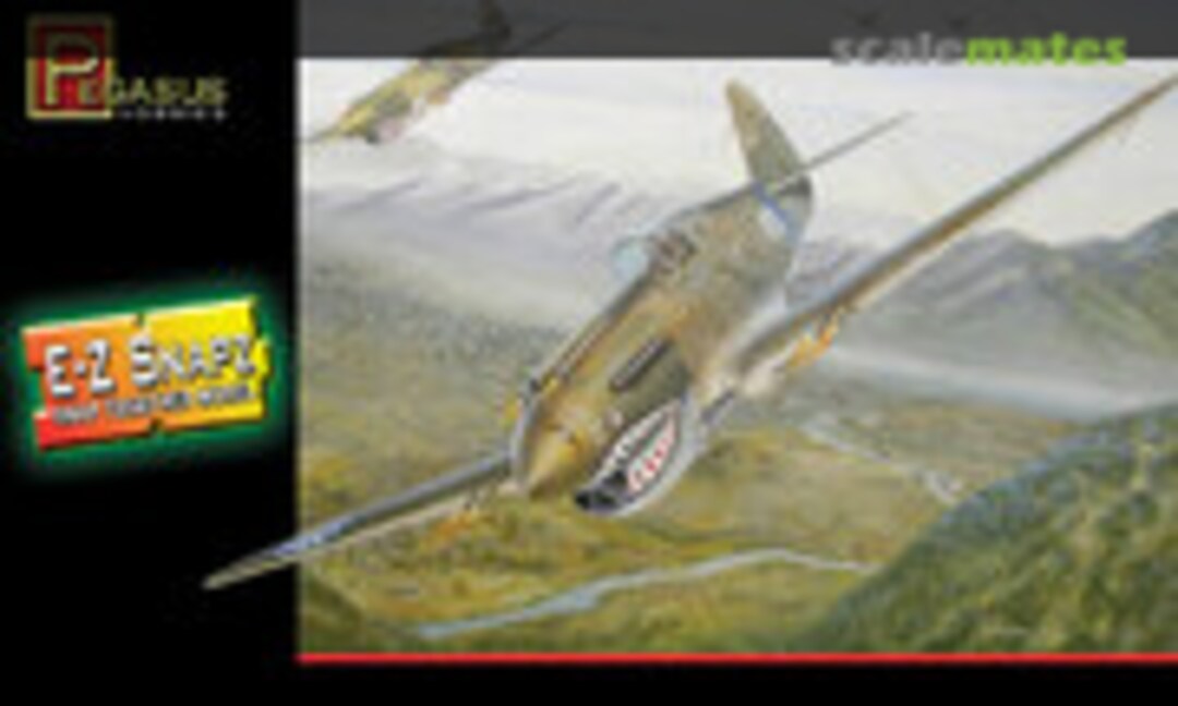 1:48 P-40B Flying Tigers (Pegasus Hobbies 8407)