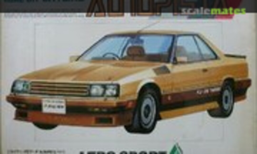 1:24 take off Skyline Autopista (Nitto 13013)