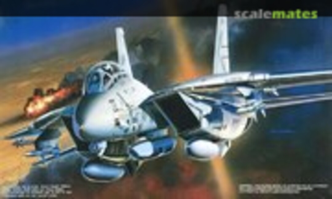 1:72 Grumman F-14A Plus TARPS (Fujimi 35117)