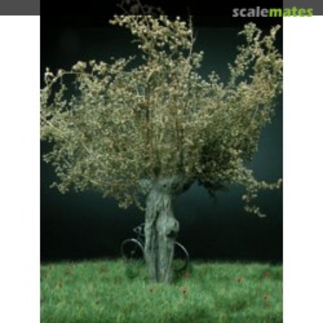 Boxart Tree with branches A050 MK35