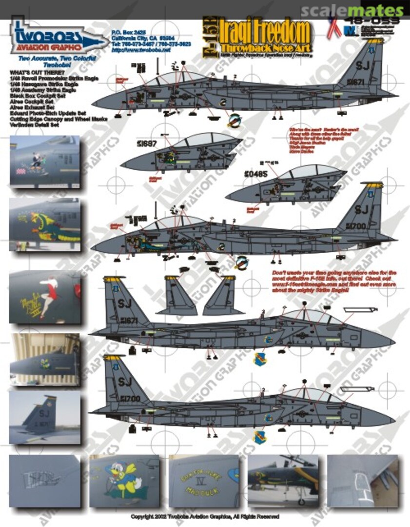 Boxart F-15E Iraqi Freedom Throwback Nose Art 48-053 TwoBobs Aviation Graphics