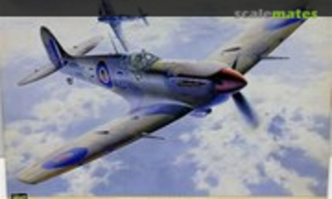 1:32 Spitfire Mk.Vb 'I.R. Greed' (Hasegawa 08118)