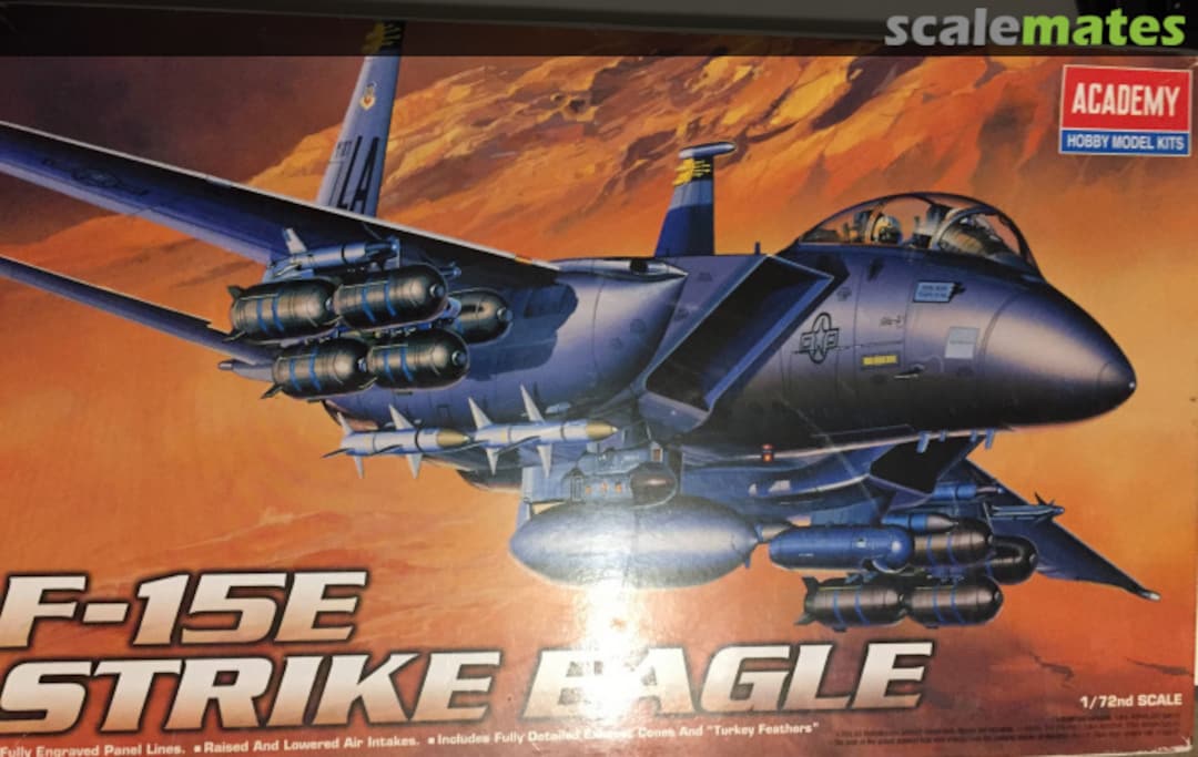 Boxart F-15E Strike Eagle 2110 Academy