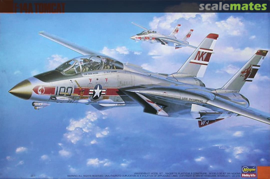 Boxart F-14A Tomcat `Wolfpack´ 04039 Hasegawa