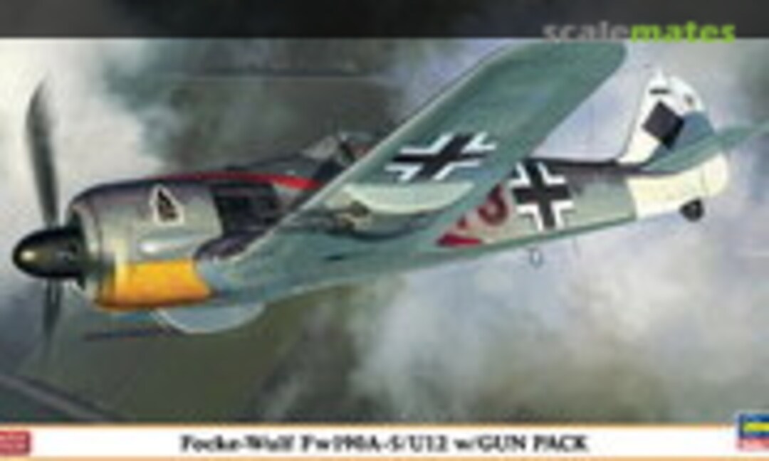 1:48 Focke-Wulf Fw190A-5/U12 w/Gun Pack (Hasegawa 07320)