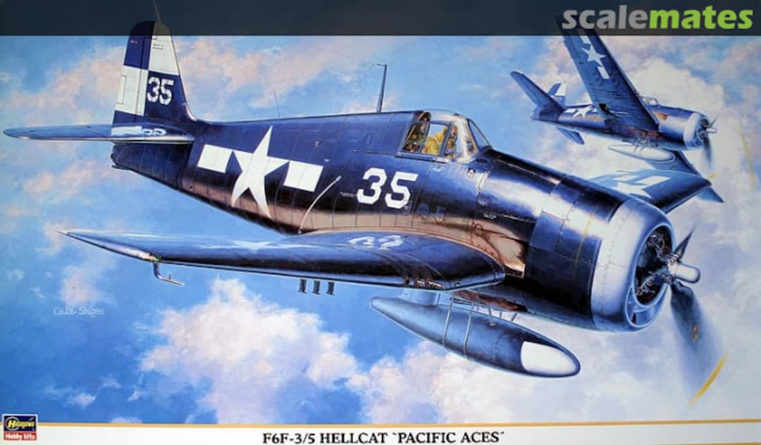 Boxart F6F-3/5 Hellcat 'Pacific Aces' 08119 Hasegawa