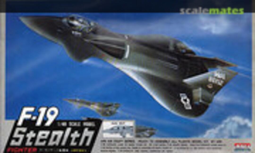 1:48 F-19 Stealth Fighter (ARII A346-1000)