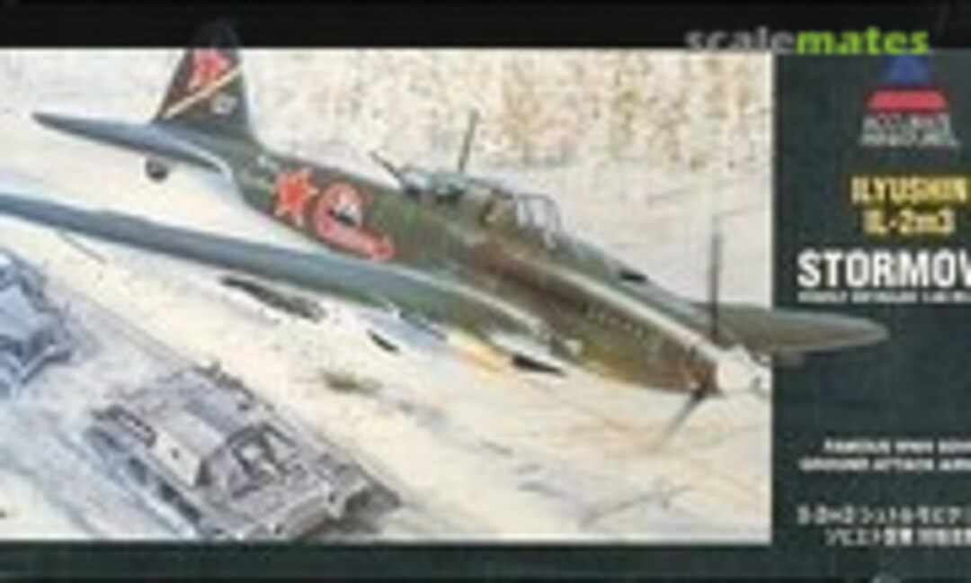 1:48 Ilyushin Il-2m3 Stormovik (Hasegawa 85007)