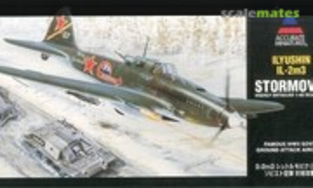 1:48 Ilyushin Il-2m3 Stormovik (Hasegawa 85057)