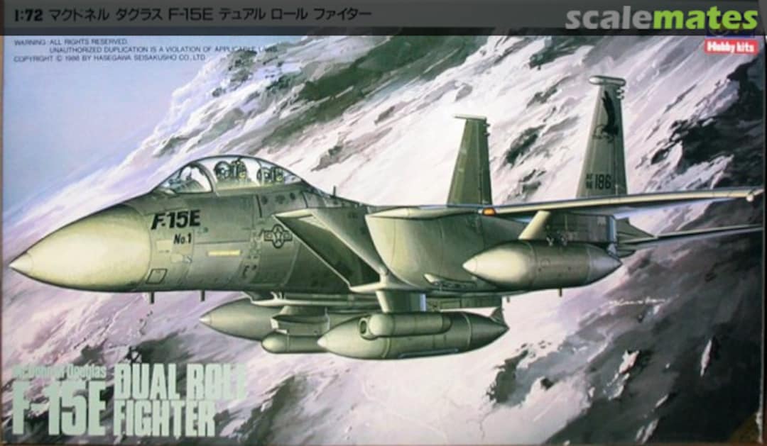 Boxart F-15E Dual Role Fighter 04027 Hasegawa