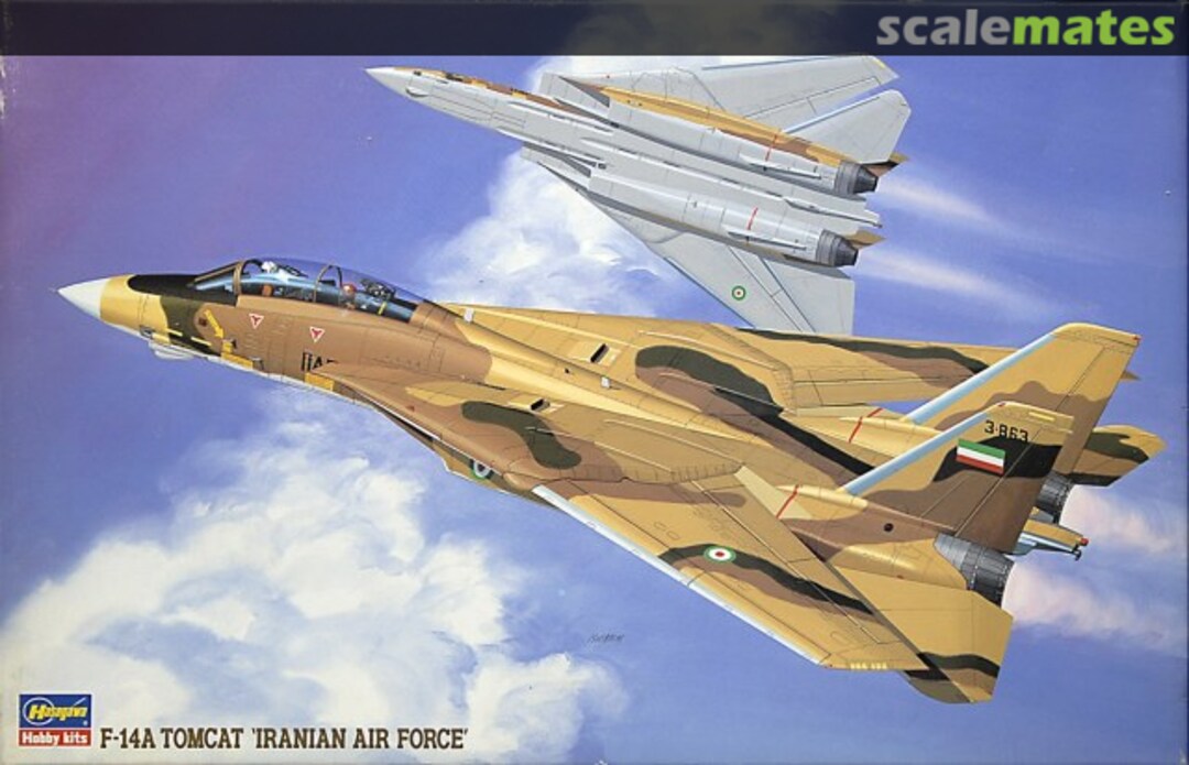 Boxart F-14A Tomcat `Iranian Air Force´ 04065 Hasegawa