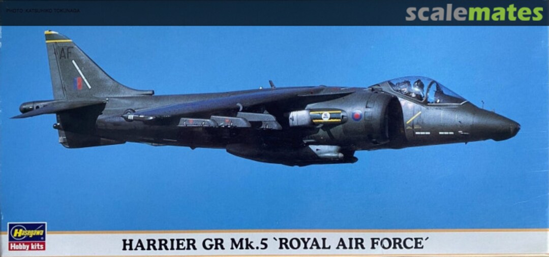 Boxart Harrier GR Mk.5 `Royal Air Force´ 00185 Hasegawa