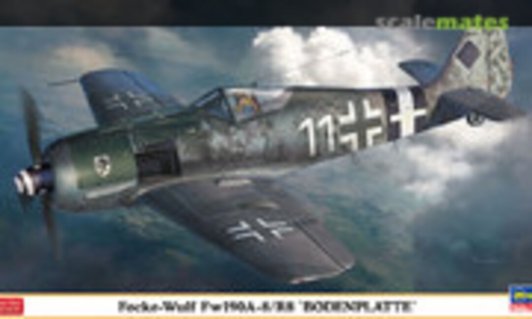 1:48 Focke Wulf Fw190A-8/R8 'Bodenplatte' (Hasegawa 07470)