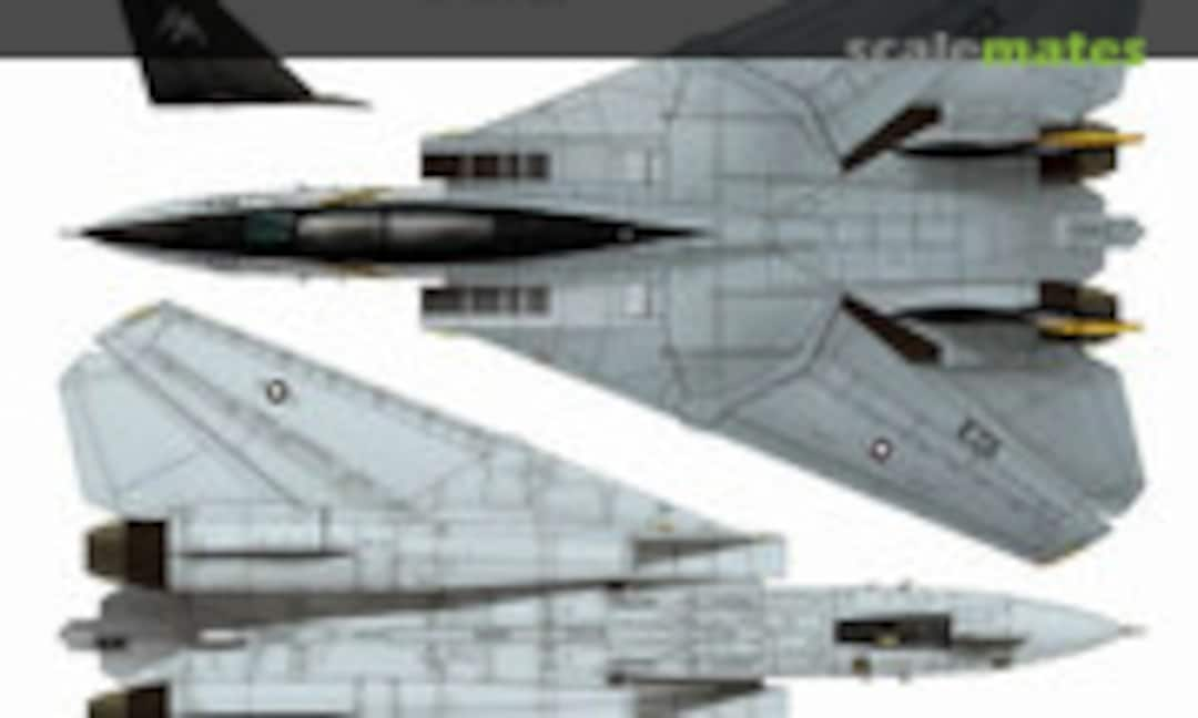 1:48 F-14B VF-103 CO Bird's History - 3 (Jasmine Model 148007)