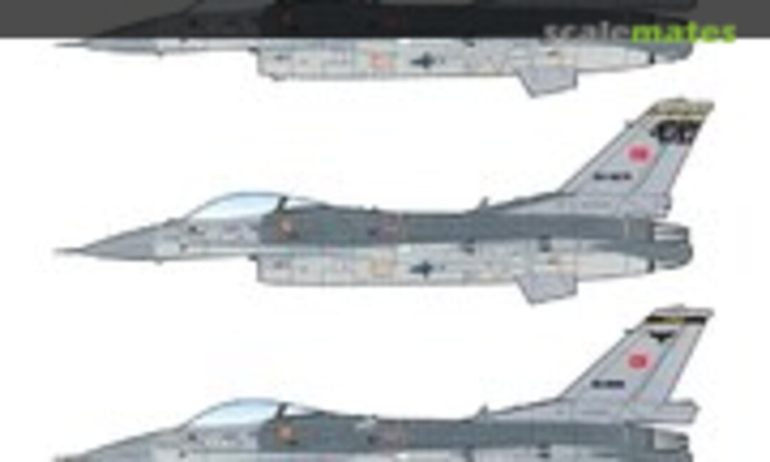 1:48 F-16C/D (Caracal Models CD48007)