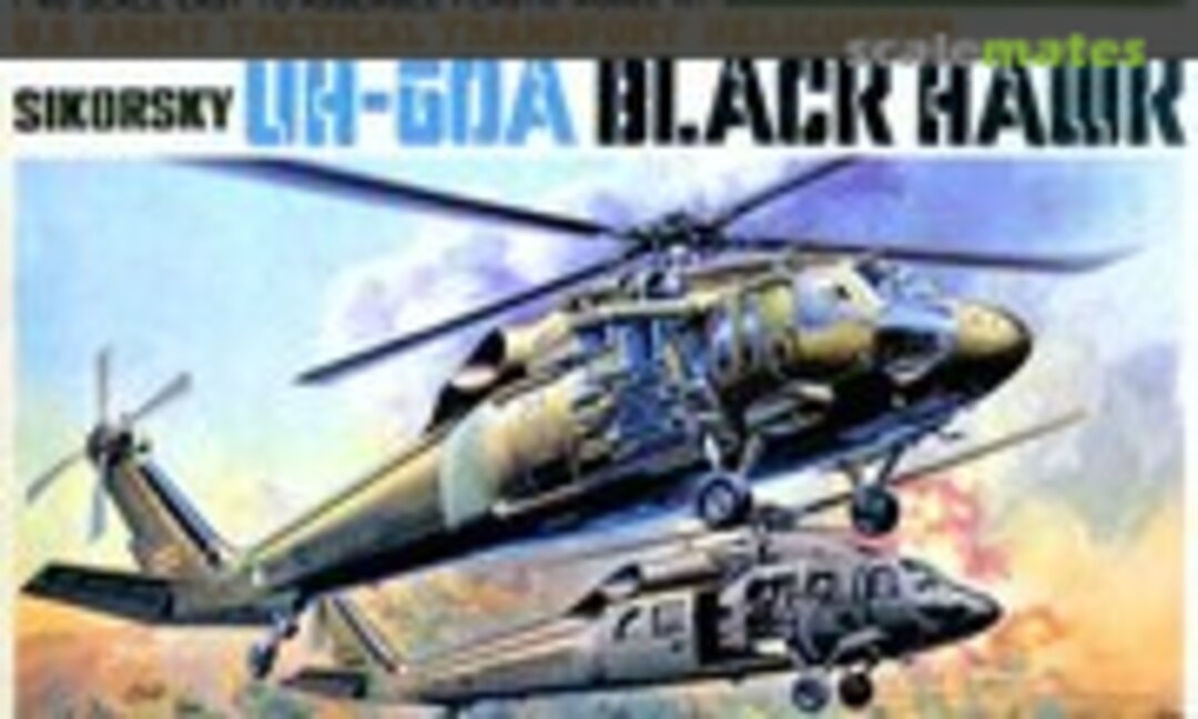 1:48 Sikorsky UH-60A Black Hawk (Sunny Tri-S P6)