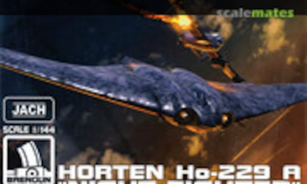 1:144 Horten Ho-229 Night Fighter (Brengun BRP144010)