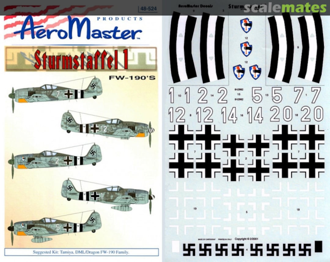 Boxart Sturmstaffel 1 48-524 AeroMaster