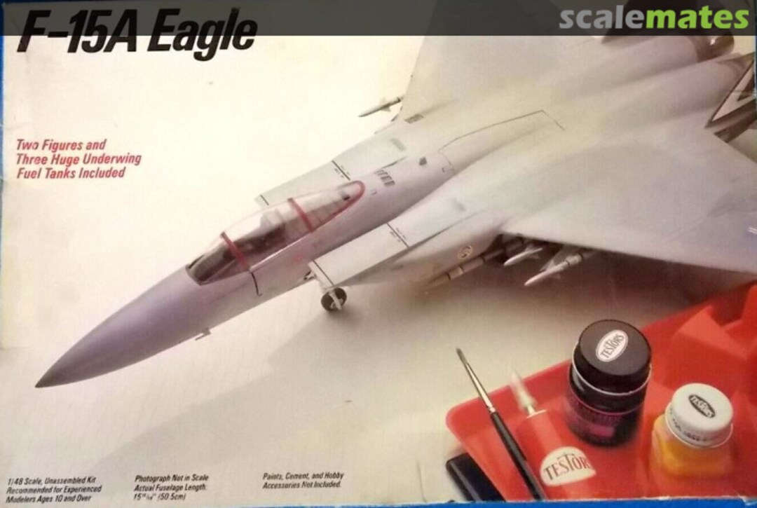 Boxart F-15A Eagle 334 Testors Fujimi