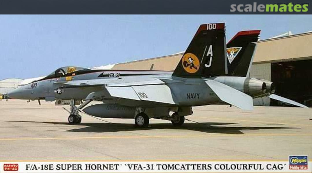 Boxart F/A-18E Super Hornet 'VFA-31 Tomcatters Colourful CAG' 00882 Hasegawa