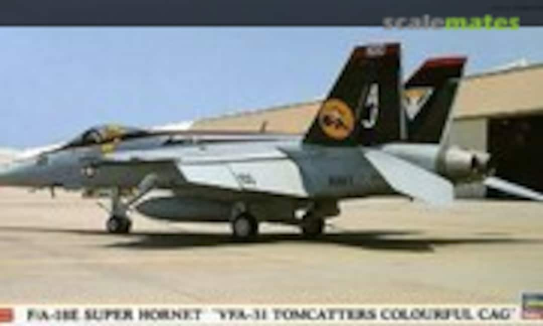 1:72 F/A-18E Super Hornet 'VFA-31 Tomcatters Colourful CAG' (Hasegawa 00882)