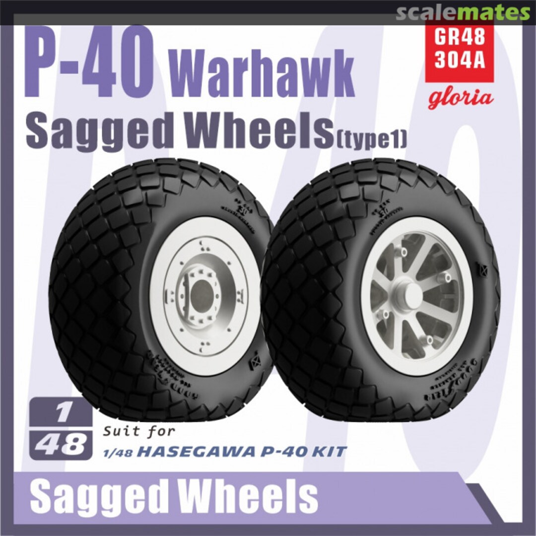 Boxart P-40 Warhawk Sagged wheels(Type 1) GR48304A Gloria Model