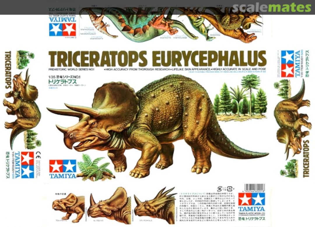 Boxart Triceratops Eurycephalus 60201 Tamiya