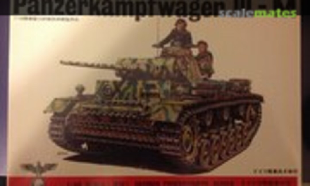 1:48 Panzerkampfwagen III-M (Fuman FM 213)