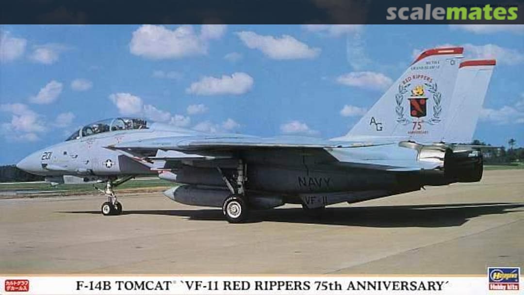 Boxart F-14B Tomcat `VF-11 Red Rippers 75th Anniversary´ 00881 Hasegawa