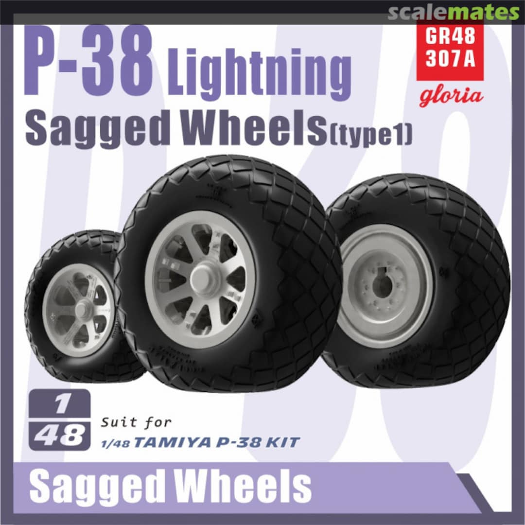 Boxart P-38 Lightning Sagged wheels (Type 1) GR48307A Gloria Model