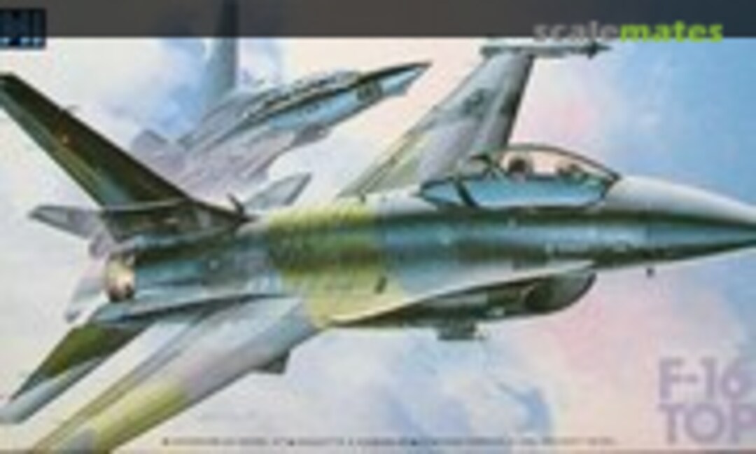 1:72 F-16N Top Gun (Fujimi 24006)