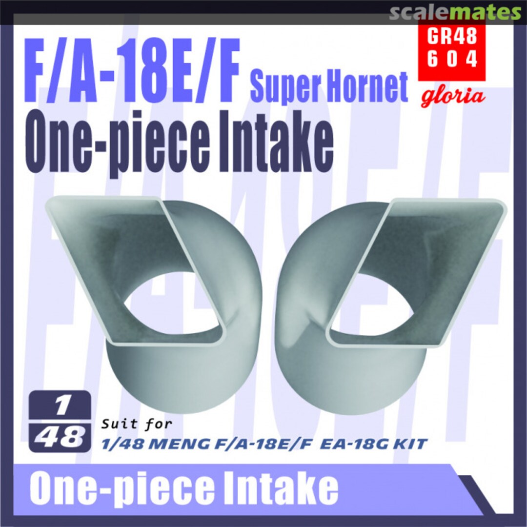 Boxart F/A-18E/F Super Hornet One-piece intake GR48604 Gloria Model