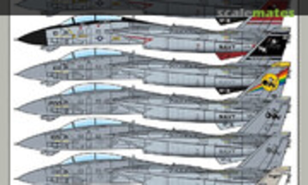 1:48 F-14D Tomcat (DXM Decals 91-4235)