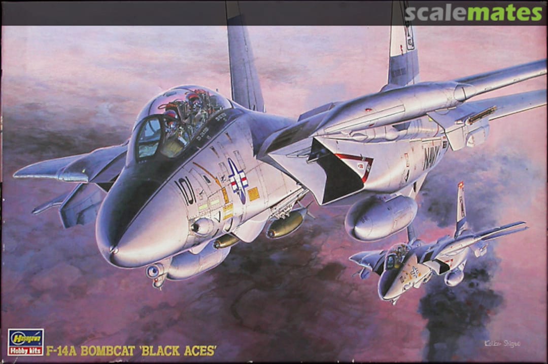 Boxart F-14A Bombcat `Black Aces´ 51597 Hasegawa