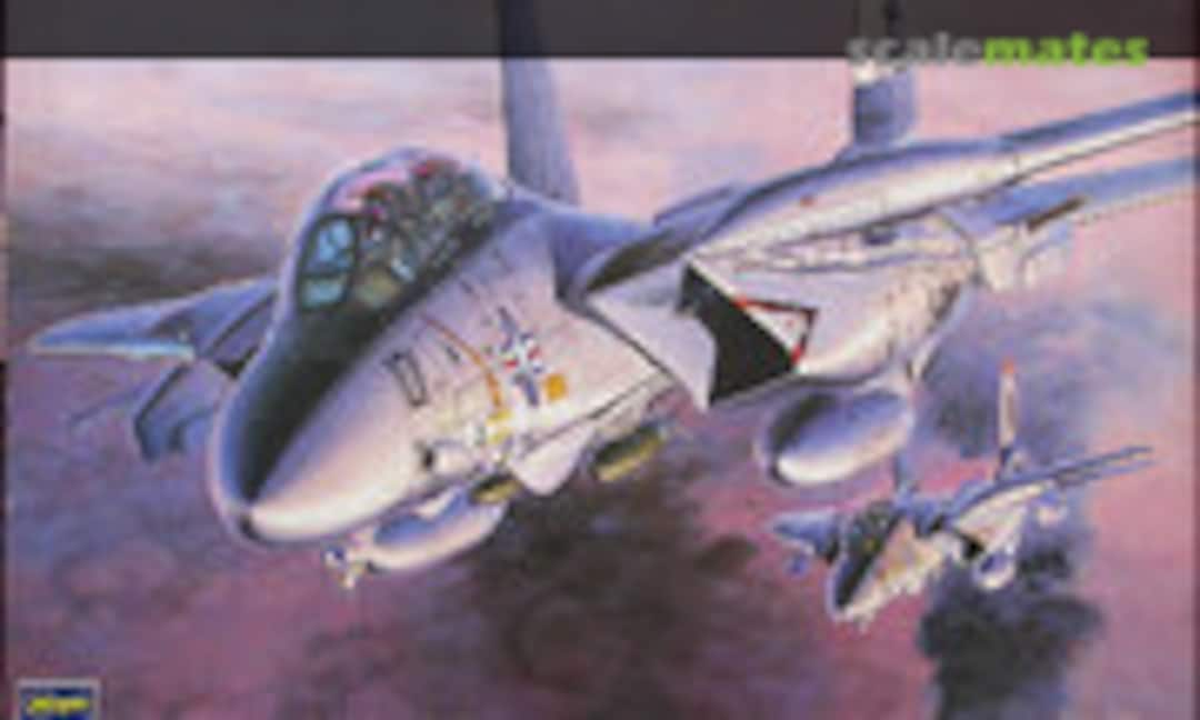 1:72 F-14A Bombcat `Black Aces´ (Hasegawa 51597)